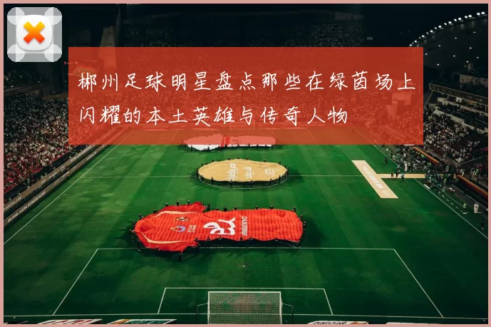 郴州足球明星盘点那些在绿茵场上闪耀的本土英雄与传奇人物