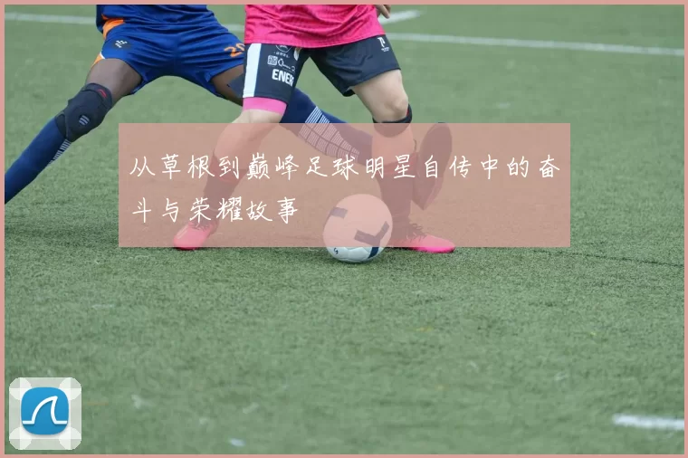 从草根到巅峰足球明星自传中的奋斗与荣耀故事