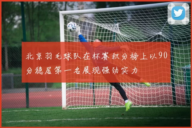 北京羽毛球队在杯赛积分榜上以90分稳居第一名展现强劲实力