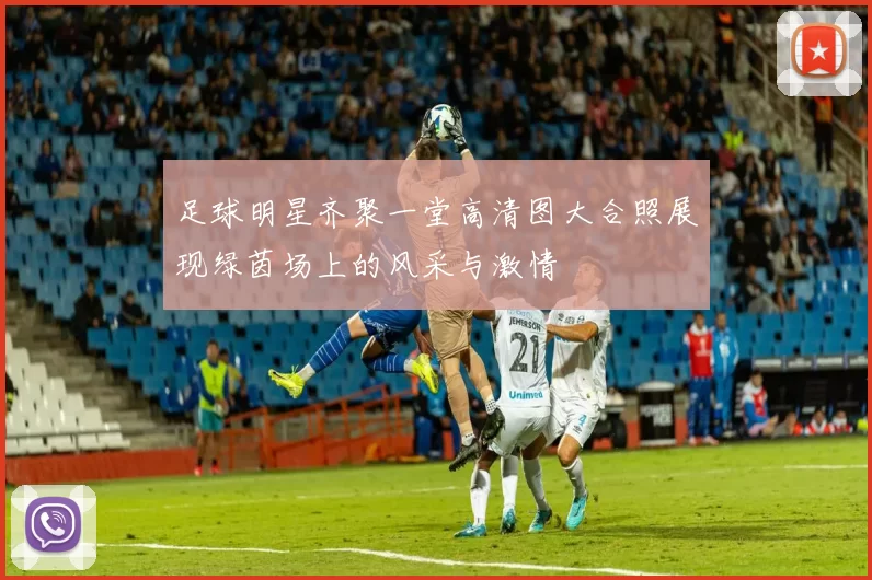 足球明星齐聚一堂高清图大合照展现绿茵场上的风采与激情
