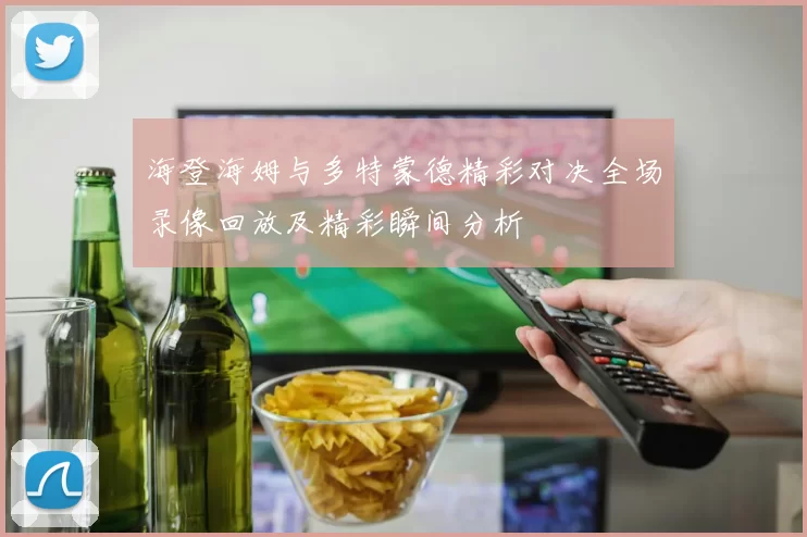 海登海姆与多特蒙德精彩对决全场录像回放及精彩瞬间分析