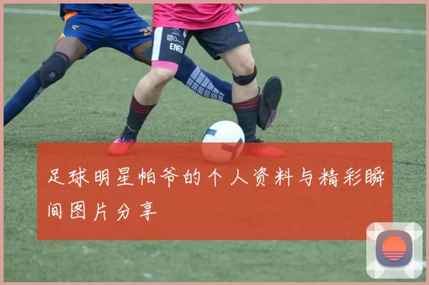 足球明星帕爷的个人资料与精彩瞬间图片分享