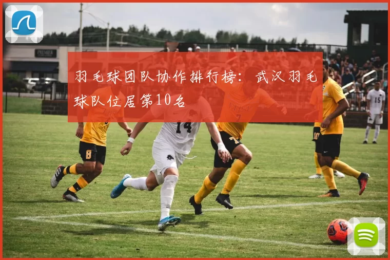 羽毛球团队协作排行榜：武汉羽毛球队位居第10名