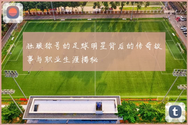独狼称号的足球明星背后的传奇故事与职业生涯揭秘