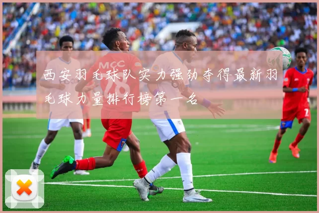 西安羽毛球队实力强劲夺得最新羽毛球力量排行榜第一名