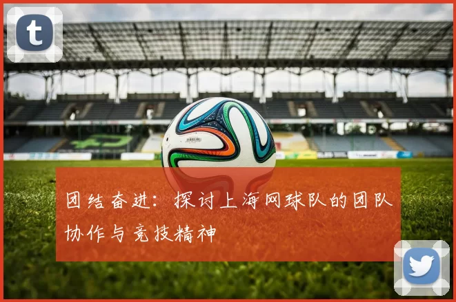 团结奋进：探讨上海网球队的团队协作与竞技精神