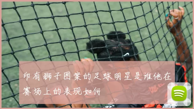 印有狮子图案的足球明星是谁他在赛场上的表现如何