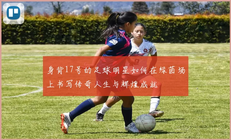 身背17号的足球明星如何在绿茵场上书写传奇人生与辉煌成就