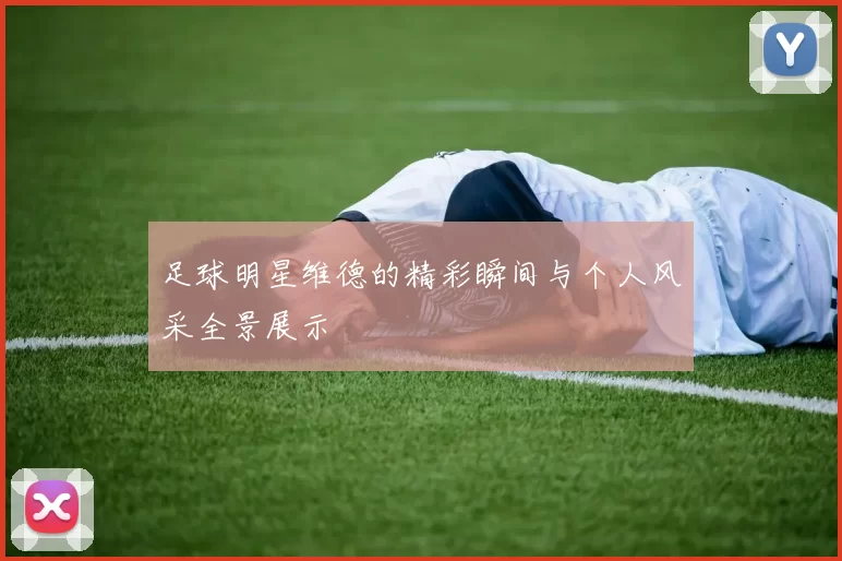 足球明星维德的精彩瞬间与个人风采全景展示