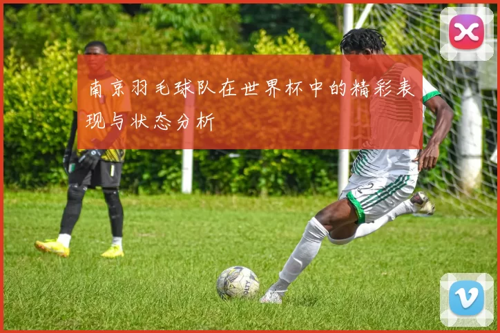 南京羽毛球队在世界杯中的精彩表现与状态分析