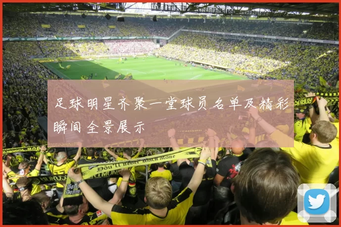 足球明星齐聚一堂球员名单及精彩瞬间全景展示