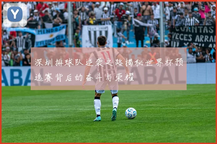 深圳排球队逆袭之路揭秘世界杯预选赛背后的奋斗与荣耀