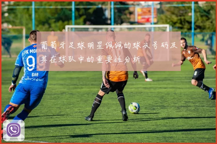 葡萄牙足球明星佩佩的球衣号码及其在球队中的重要性分析