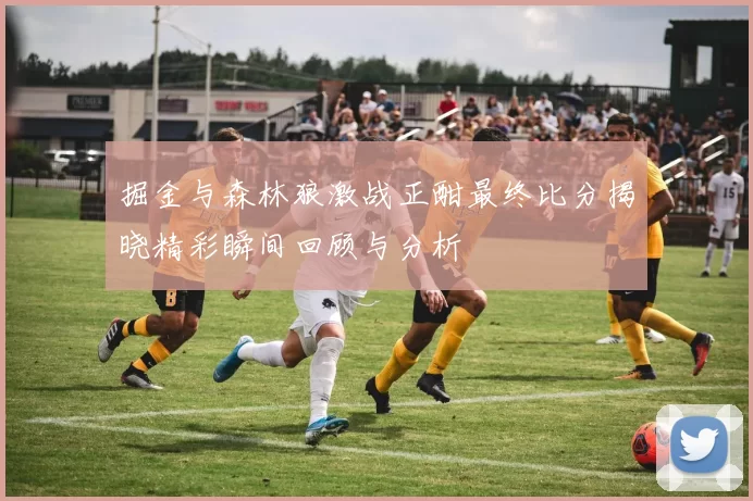 掘金与森林狼激战正酣最终比分揭晓精彩瞬间回顾与分析